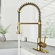preview thumbnail 80 of 156, VIGO Edison 19" H Single Handle Pull-Down Sprayer Kitchen Faucet