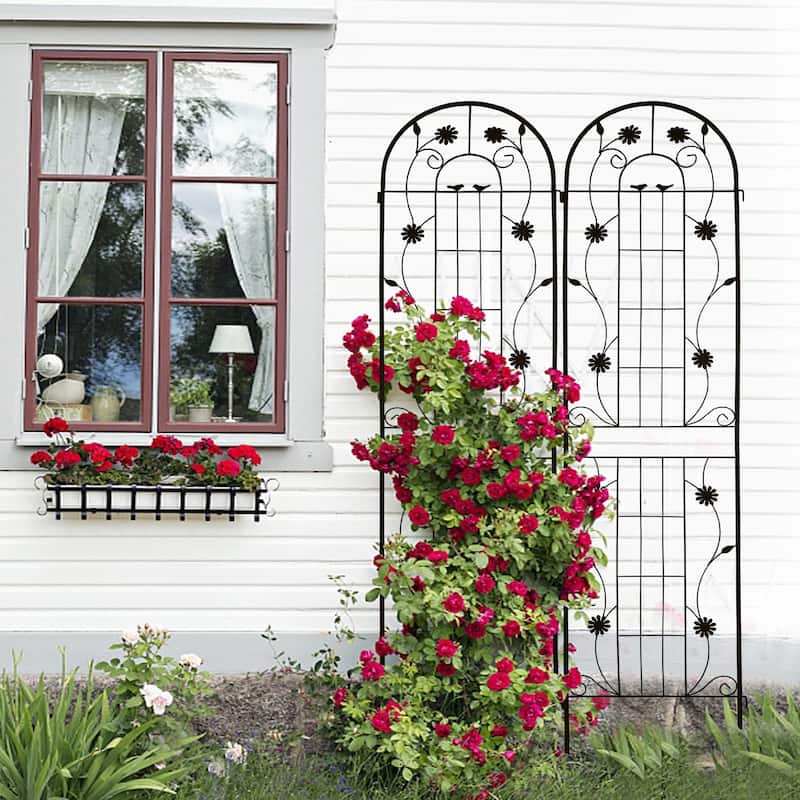 2 Pack Metal Garden Trellis Rustproof Trellis for Climbing Plants Outdoor Flower Support - Black