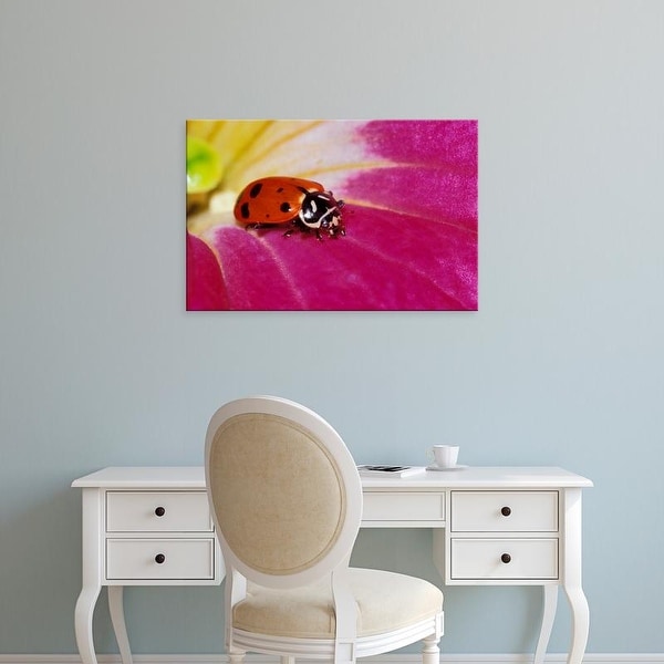 Easy Art Prints Adam Jones's 'Ladybug Beetle' Premium Canvas Art