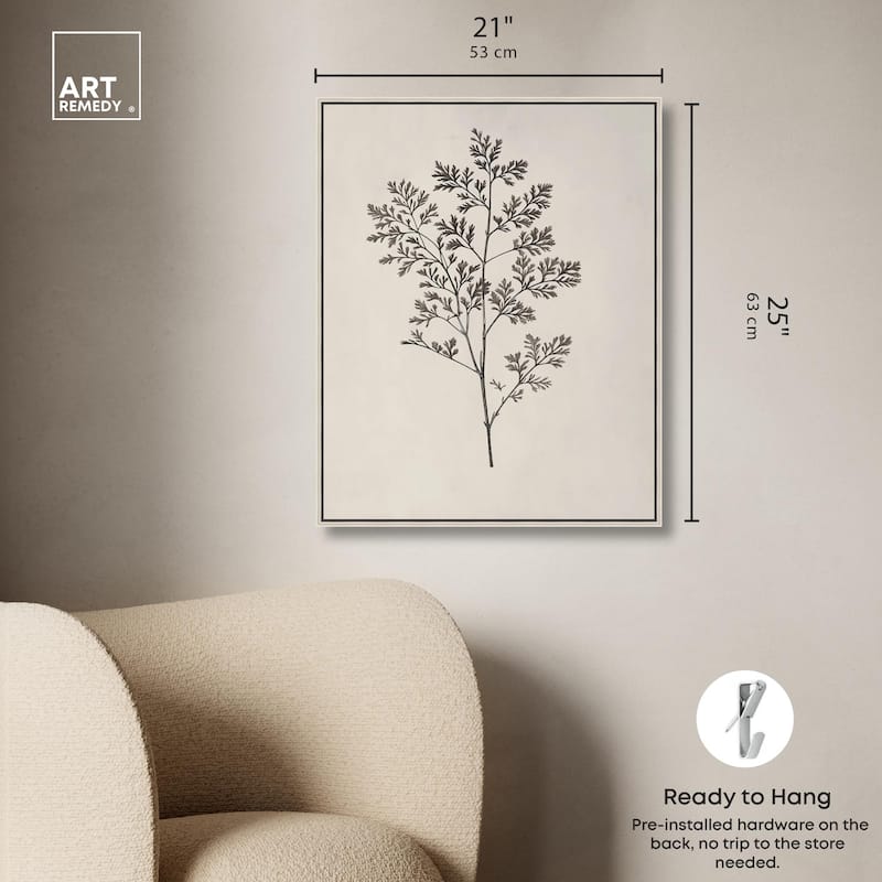 Aniseed Anatomy II Canvas Delicate Floral by Art Remedy