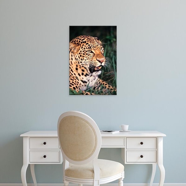 Easy Art Prints Adam Jones's 'Asian Spotted Leopard' Premium Canvas Art
