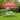 Ainfox 10x10ft Outdoor Canopy Tent Gazebo for Party&Gatherings