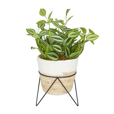 Faux Foliage Sanchezia Artificial Plant with Realistic Leaves and Rattan Pot and Black Stand - Green - Roche River Decor