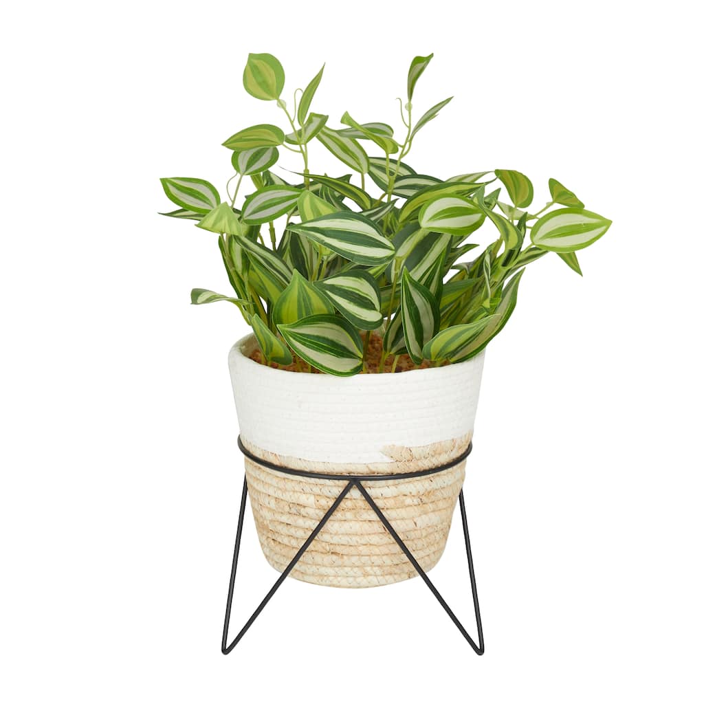 Faux Foliage Sanchezia Artificial Plant with Realistic Leaves and Rattan Pot and Black Stand - Green - Roche River Decor