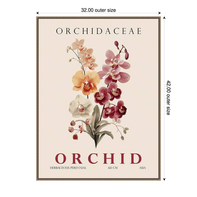 Vintage Botanical Orchid Illustration by Christopher Giampietro Framed Canvas Wall Art Print - Gold - 32 x 42 in
