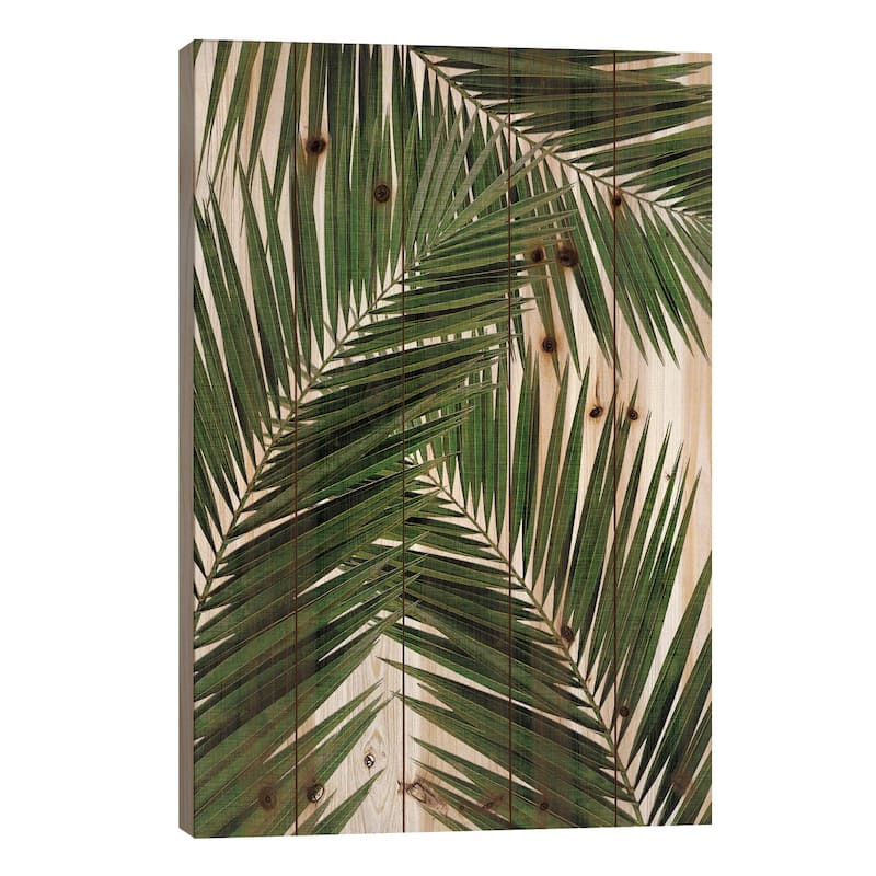 Palm Leaf III Print On Wood by Orara Studio - Multi-Color - 26x18x1.5