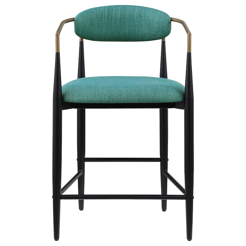 Tina Fabric Upholstered Metal Armrests Chairs (Set of 2)