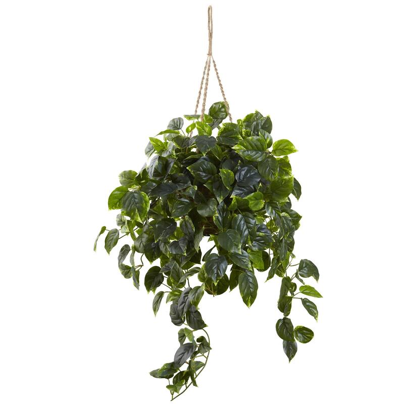 Hanging Basket Decorative Indoor Outdoor Plant Pot Baroque Beauty Design