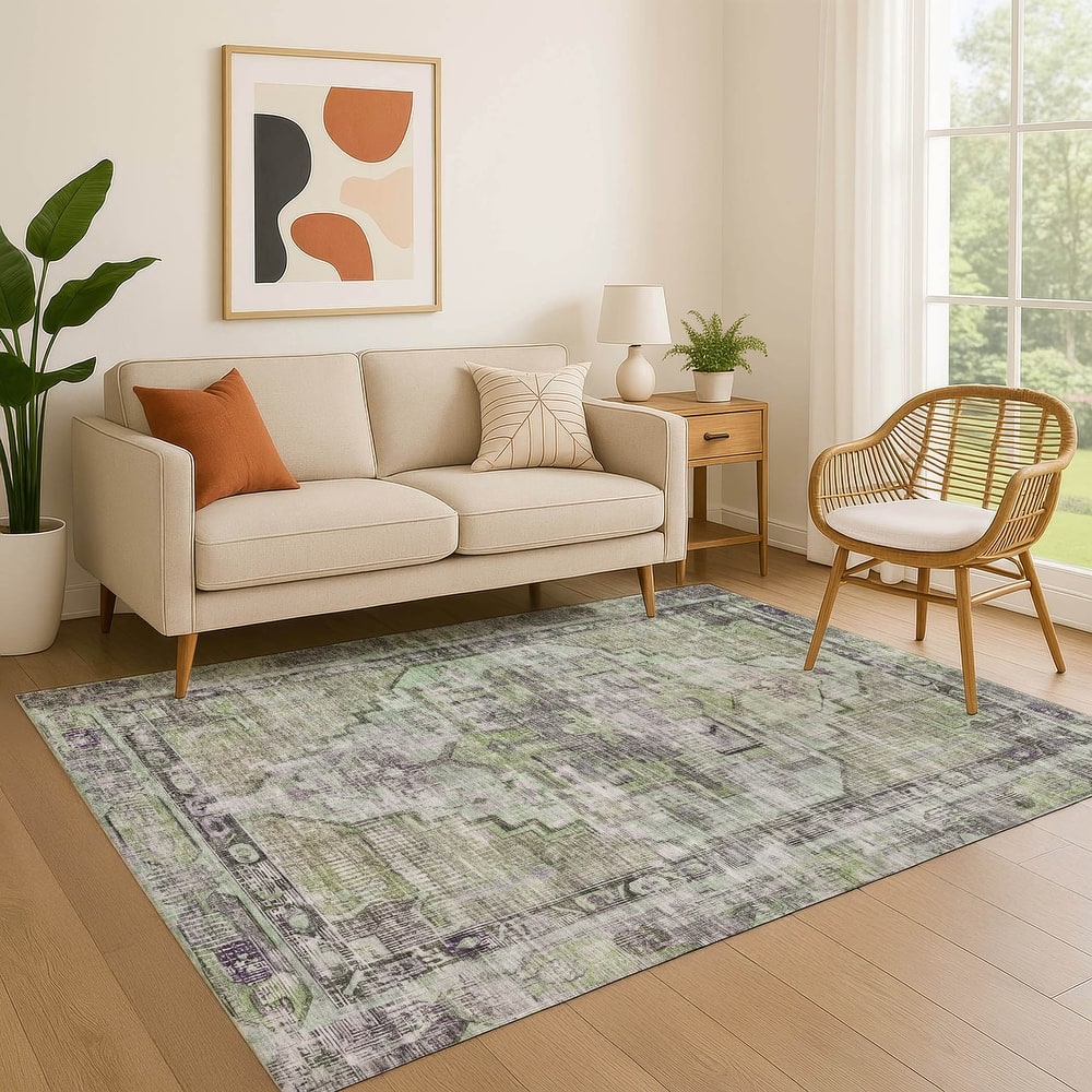 Premium Washable Super Soft Vintage Traditional Mayfield Rug