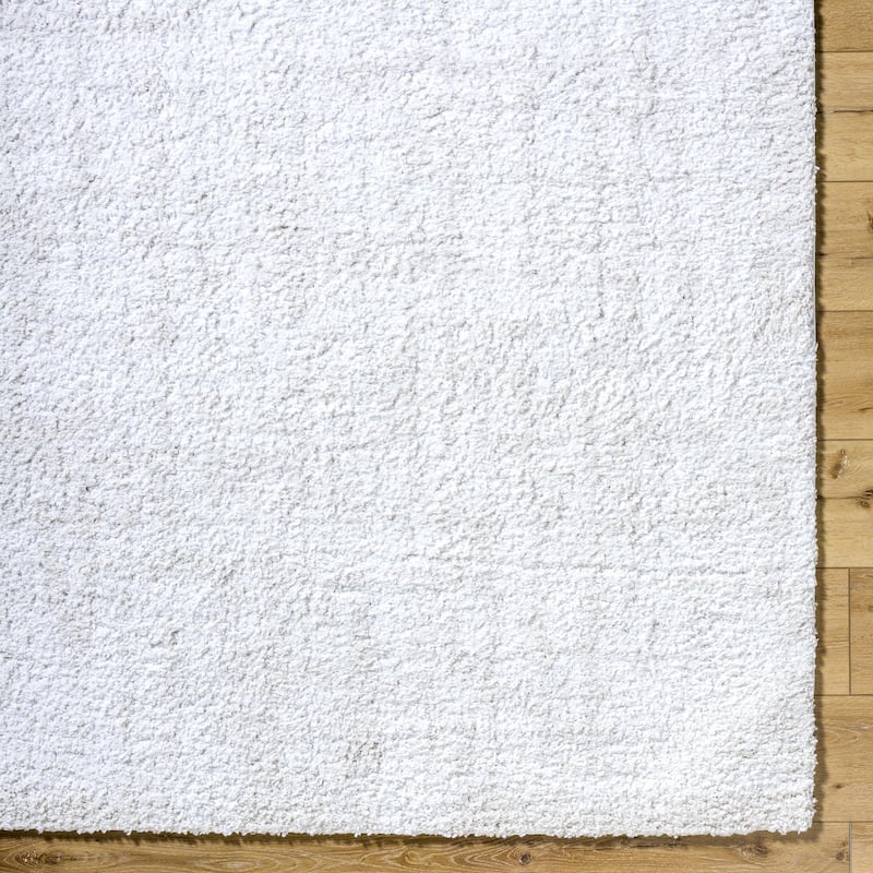 Livabliss Sacramento Shag Modern & Contemporary Area Rug