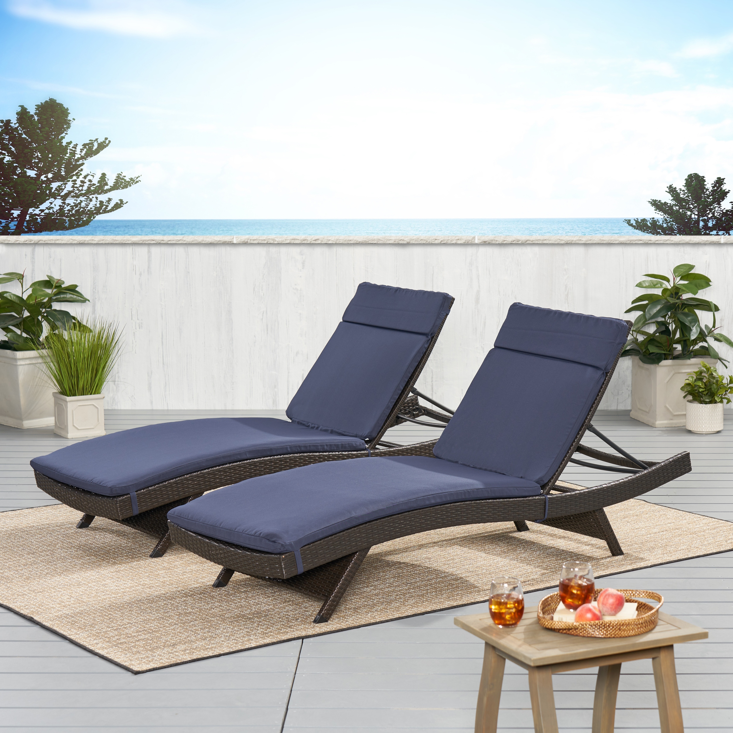 Salem Outdoor Cushion Set for Chaise Lounge Cushions only Set