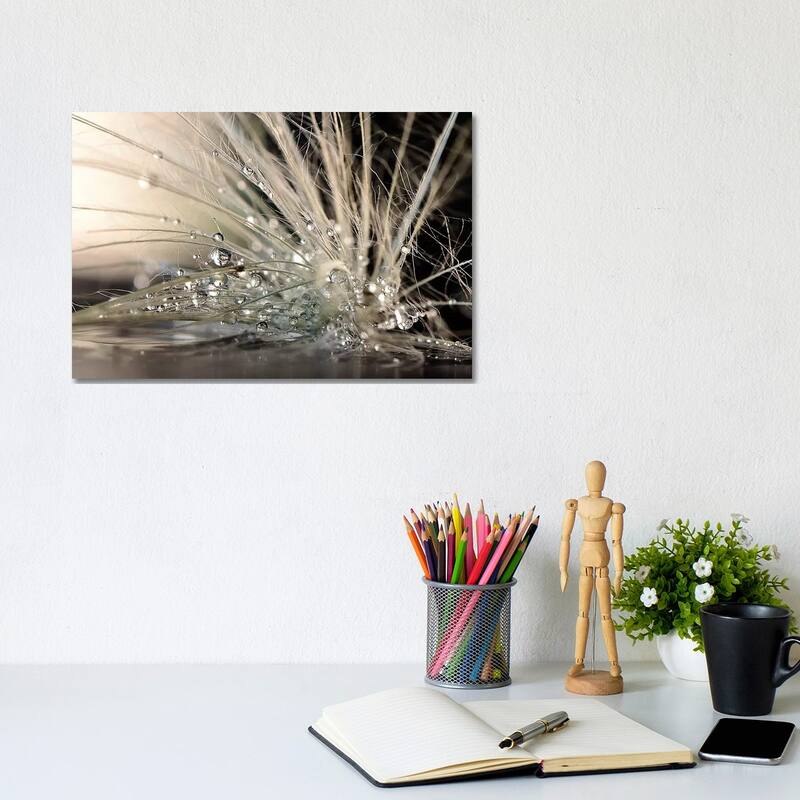 iCanvas "Pearls" by Maryam Zahirimehr Canvas Print - 8x12x0.75