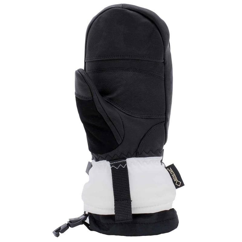 Swany Men's Gore Winterfall Mitt