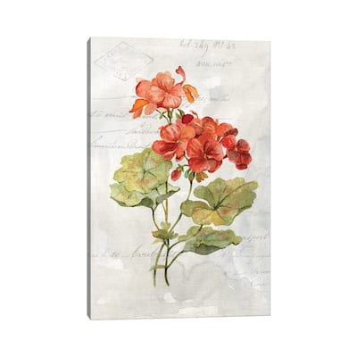 iCanvas "Linen Geranium" by Carol Robinson Canvas Print
