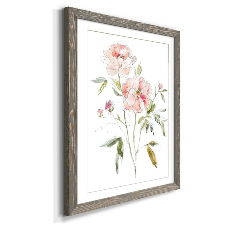 Sketchbook Cottage Rose I-Premium Framed Print - Ready to Hang