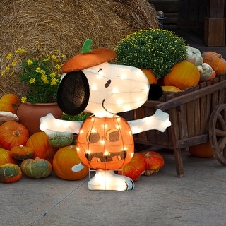 24" Peanuts 2D Pre-Lit Yard Art Snoopy in JOL