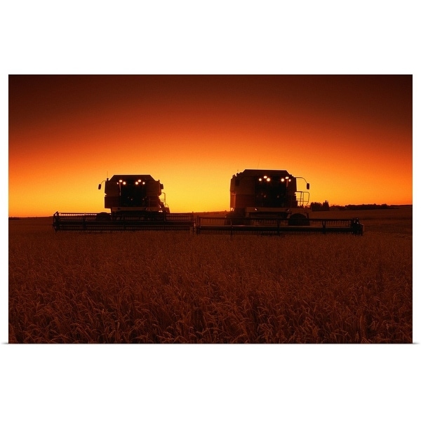 "Combines harvesting crop at sunset" Poster Print