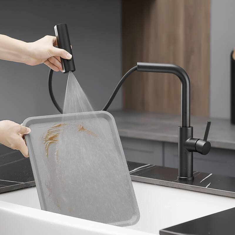 Single-Handle Pull Out Sprayer Kitchen Faucet in Black