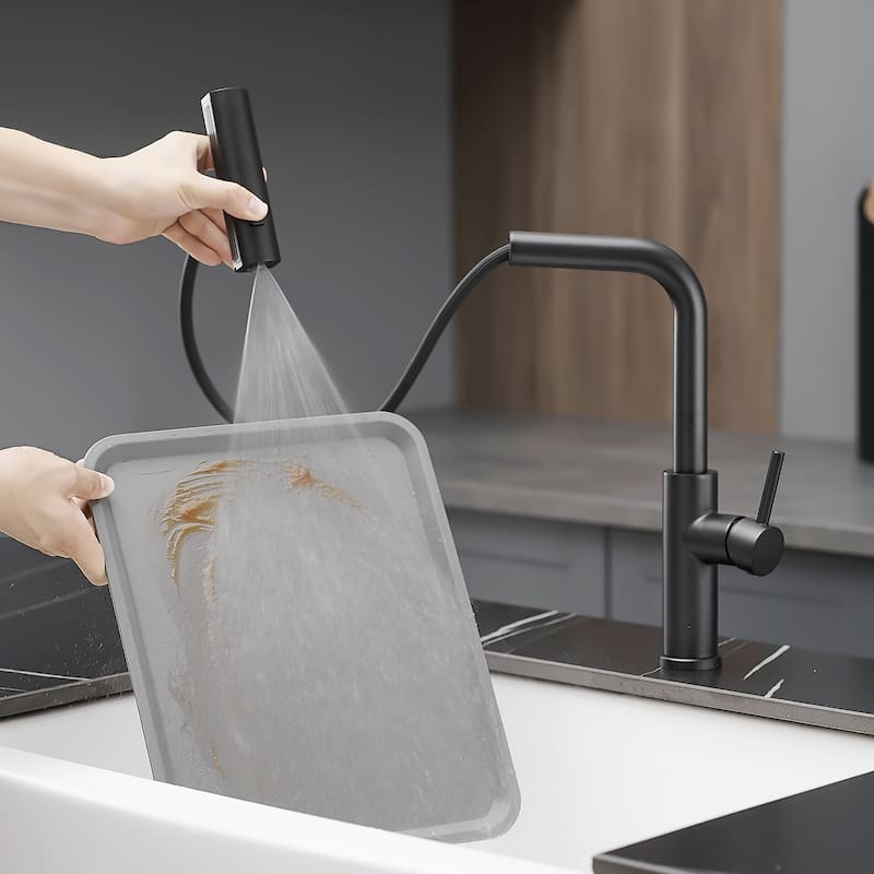 Single Handle Stainless Steel Pull-out Kitchen Faucet with Wide Spray - Black