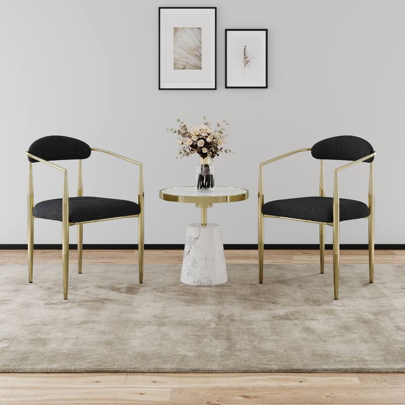 Dining Chairs Set of 2,Mid-Century Modern Dining Chairs