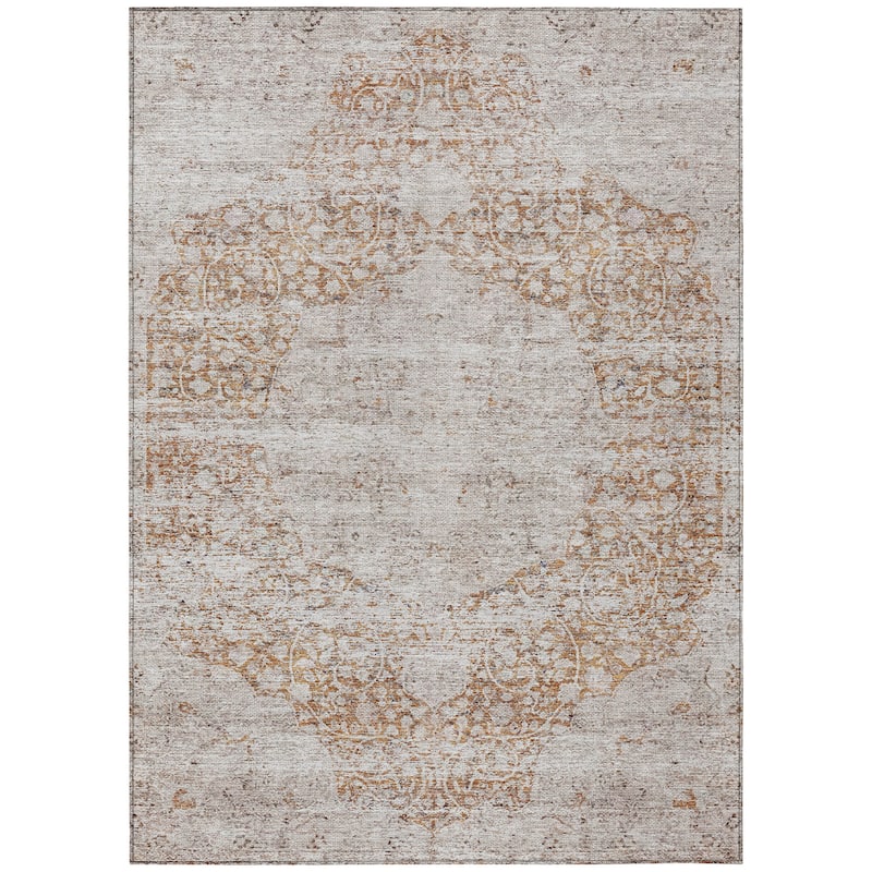 Machine Washable Indoor/ Outdoor Vintage Traditional Chantille Rug