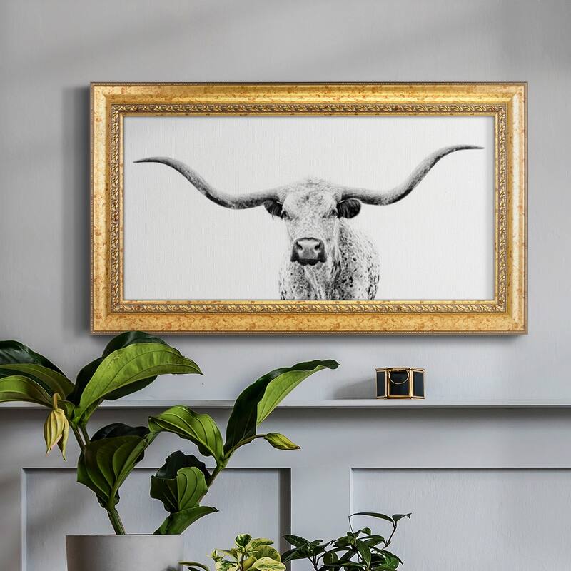 Longhorn Gaze Premium Framed Canvas- Ready to Hang
