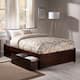 Option Walnut