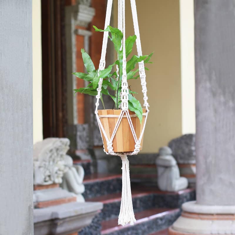 Novica Handmade Pure Home Cotton Macrame Flower Pot Hanger