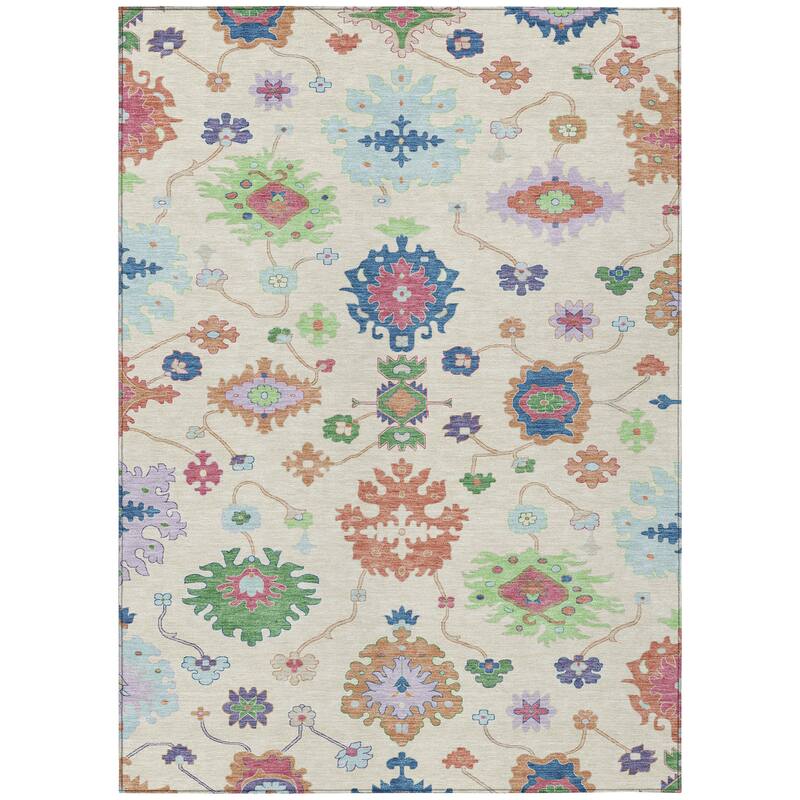 Machine Washable Indoor/ Outdoor Traditonal Delhi Chantille Rug