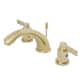 Option Polished Brass