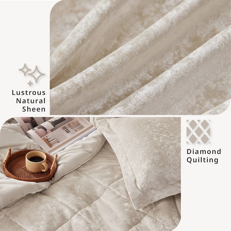 Intelligent Design Isabel Velvet Comforter Set
