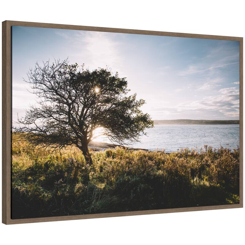 Kate and Laurel Sylvie Coastal Serene Sunset Tree Landscape Framed Canvas by Patricia Hasz of Patricia Rae Photography - 33x23 - Brown