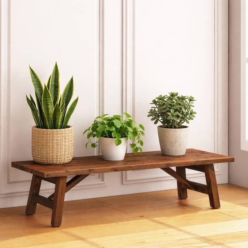 Rasmus Indoor Coffee Plant Stand Table