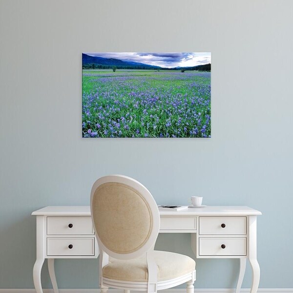 Easy Art Prints Chuck Haney's 'Large Field Of Blue Camas Wildflowers' Premium Canvas Art