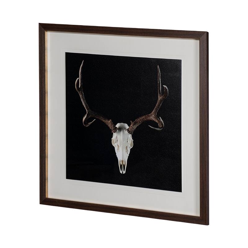 Deer Skull Framed Art Print