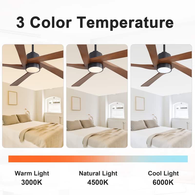 WINGBO 54" and 64" 5 ABS Blades DC Motor Indoor Ceiling Fan with Light & Remote