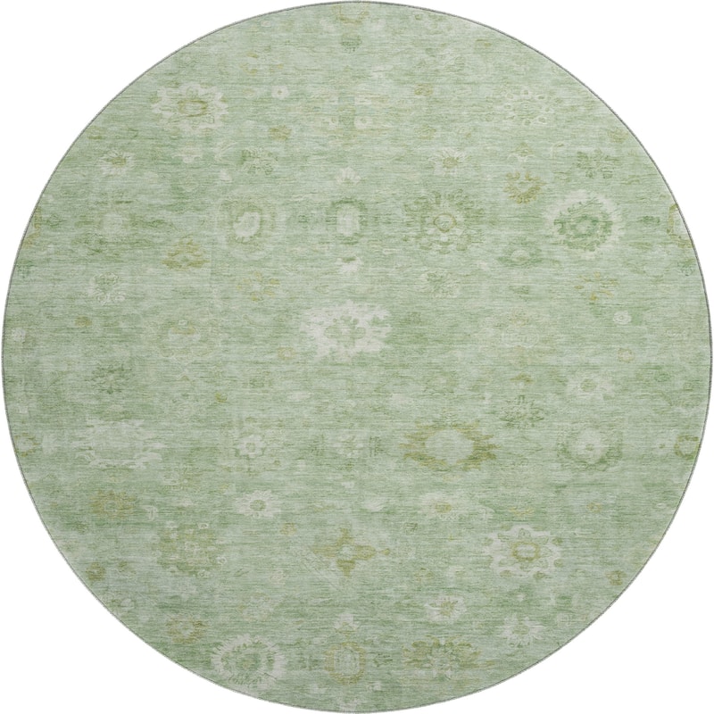 Premium Washable Super Soft Vintage Traditional Mayfield Rug