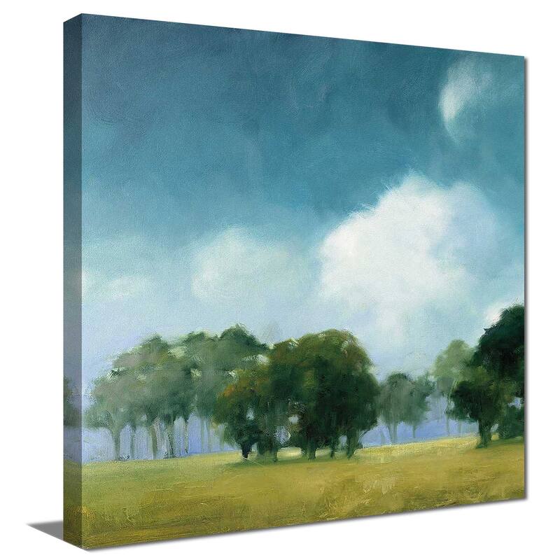 "Cloud Dance I" Print on Canvas