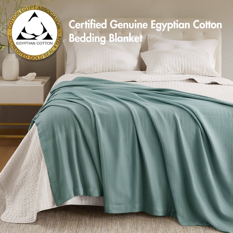 Madison Park Egyptian Cotton Solid Blanket