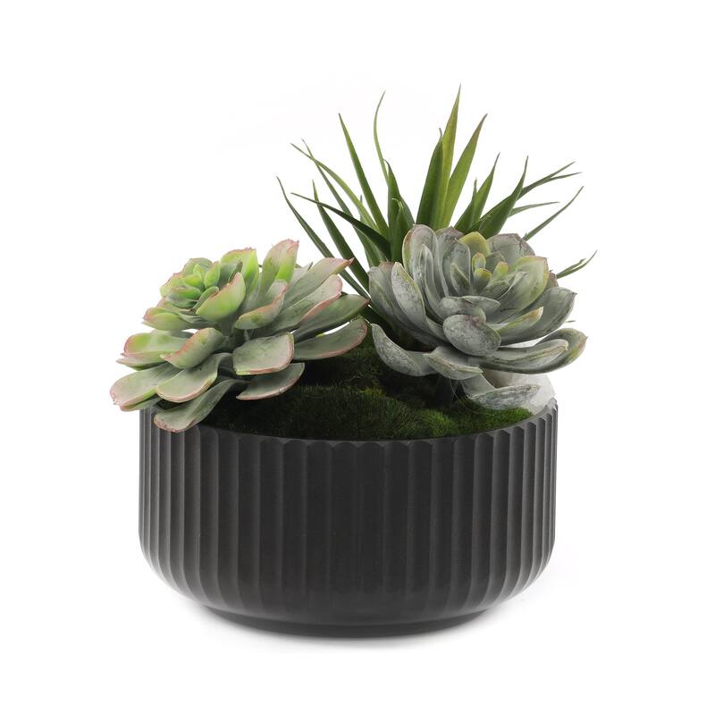 Faux Succulents & Moss Arrangement in Ribbed Black Pot - Green