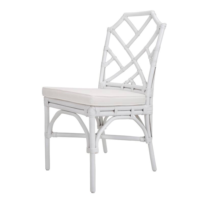 NPD Furniture Kara Rattan Dining Side Chair (Set of 2)