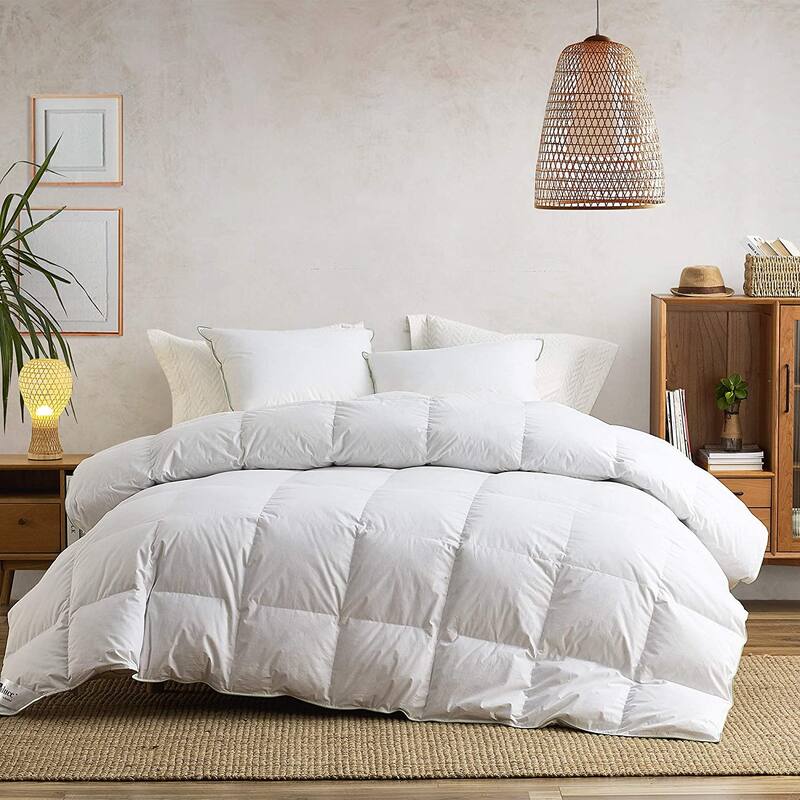 RE-DUCE - Revitalized Down Comforter
