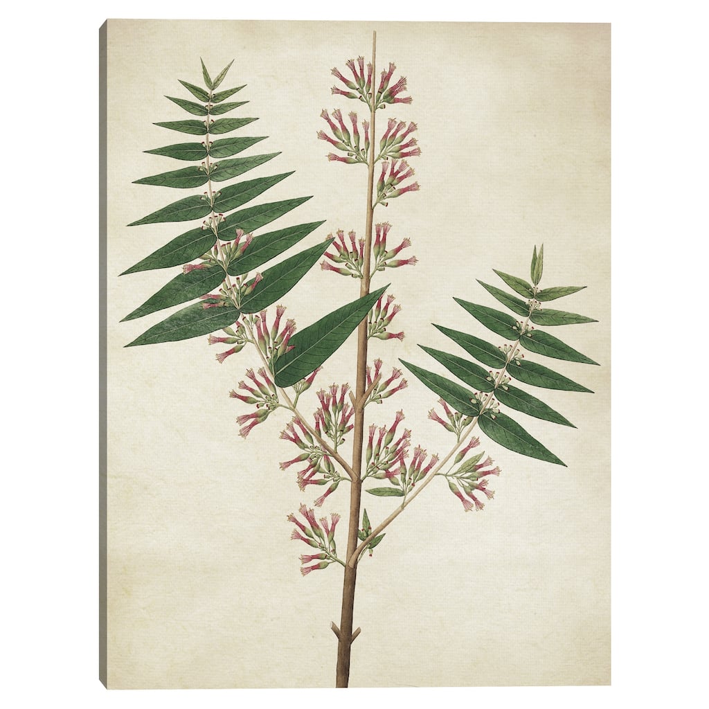 Simple Nature II Texture Canvas Art Print