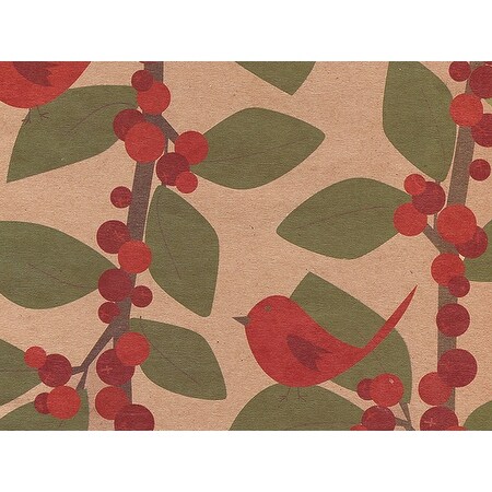 Overstockpack Of 1 Red Bird Berries 24 X 417 Roll Christmas Premium Gift Wrap Papers For 175 200 Gifts Kraft Dailymail