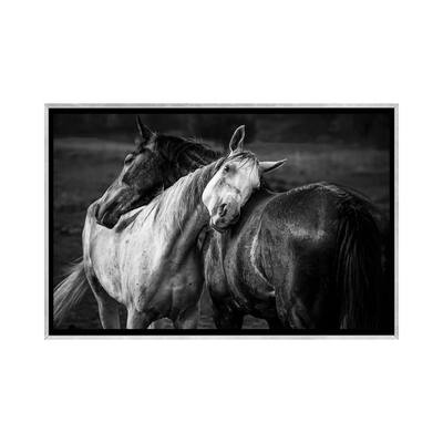 iCanvas "Warm Rain" by Niko Chapa Framed