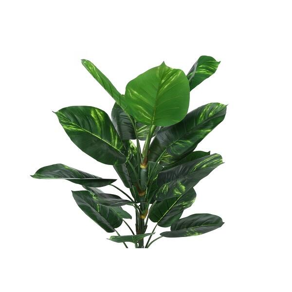 starter house plants Simple Starter Indoor Plants  Plan A Plant