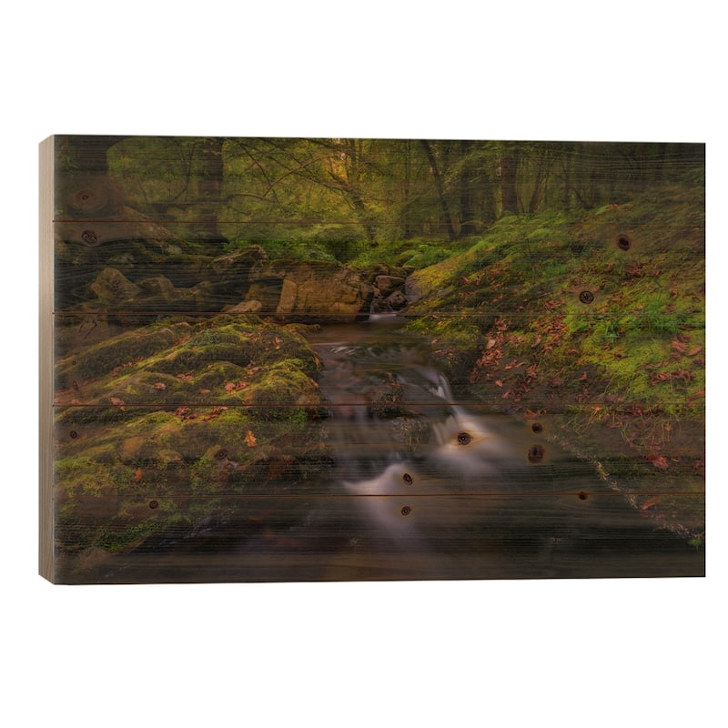 Forest Treasures Print On Wood by Sergio Lanza - Multi-Color - 26x40x1.5