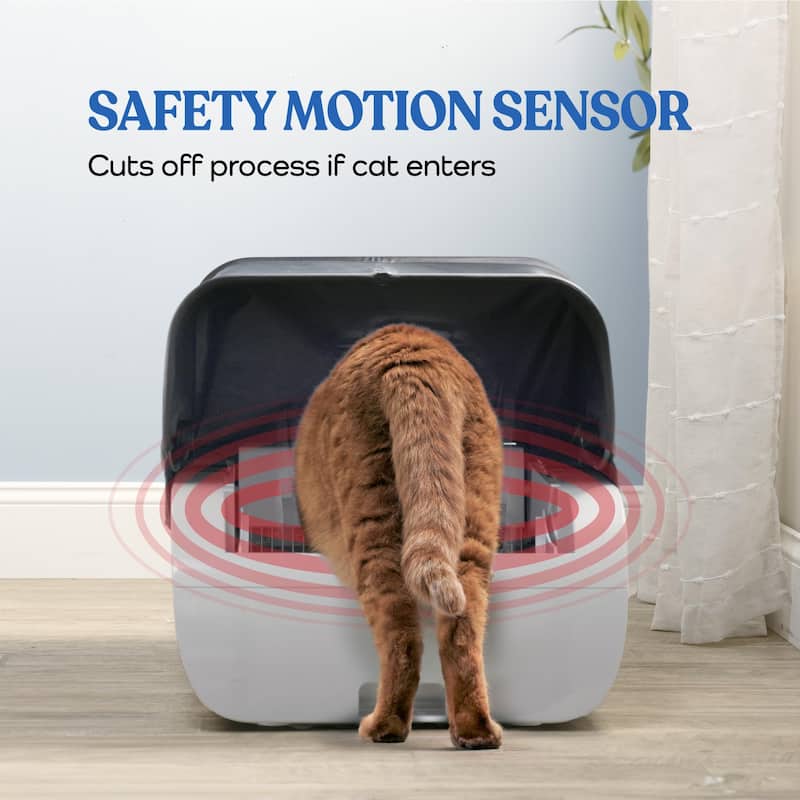 Smart Cat Litter Box Cat Litter Box Wide Opening