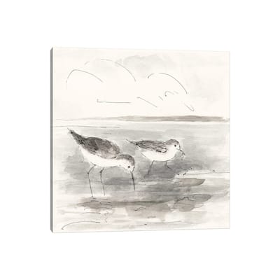 iCanvas "Sand Piper I" by Sally Swatland Canvas Print