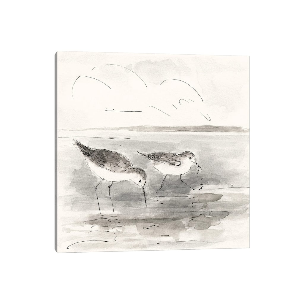 iCanvas "Sand Piper I" by Sally Swatland Canvas Print